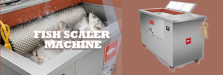 Automatic Fish Descaling Machine
