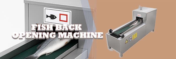 Fish Processing Splitting Machine