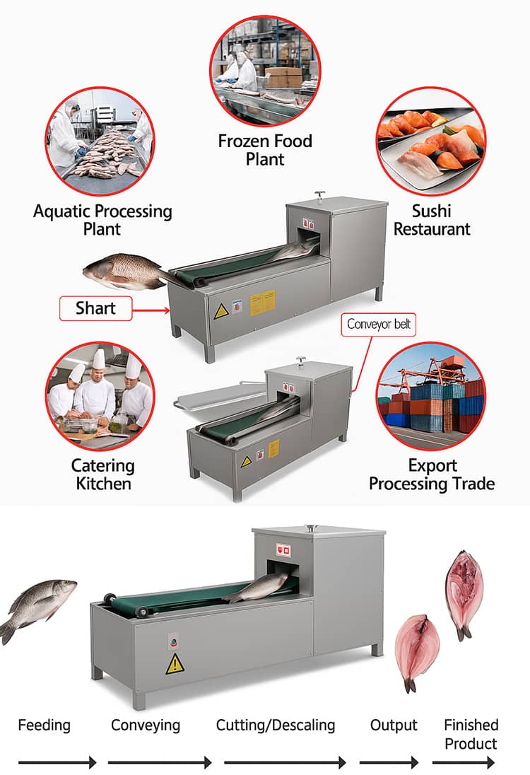 Fish Processing Splitting Machine